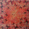 ..Butterfly Effect<br>Photo Encaustic<br>23 x 23 inches 